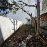 logradouro backyard 3